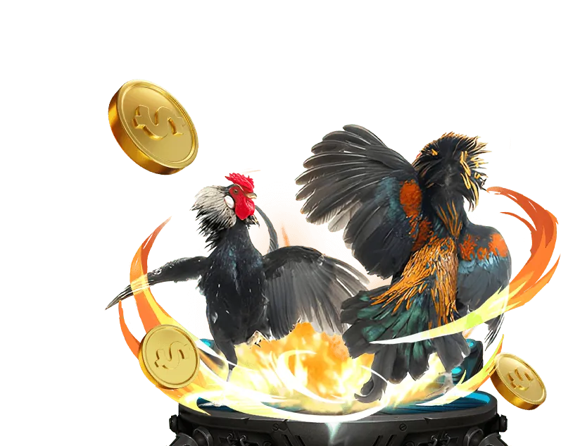 Hoàn trả cá cược thể thao Sunwin